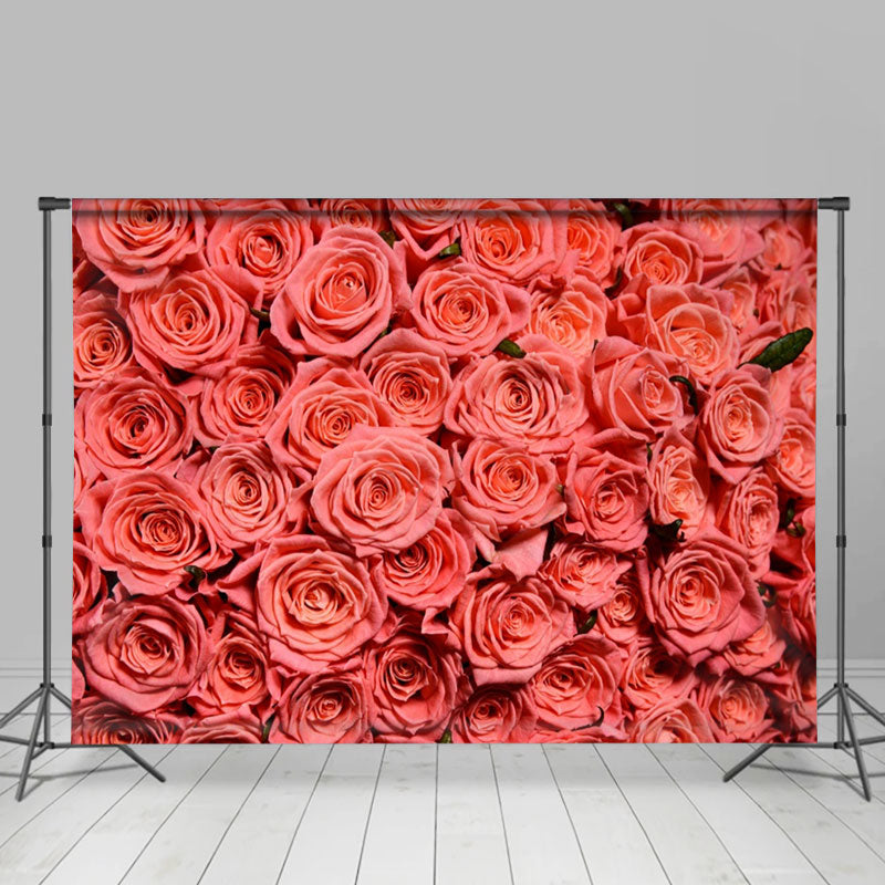 Aperturee - Frische rote Rosen fotografieren Valentinstag Hintergrund