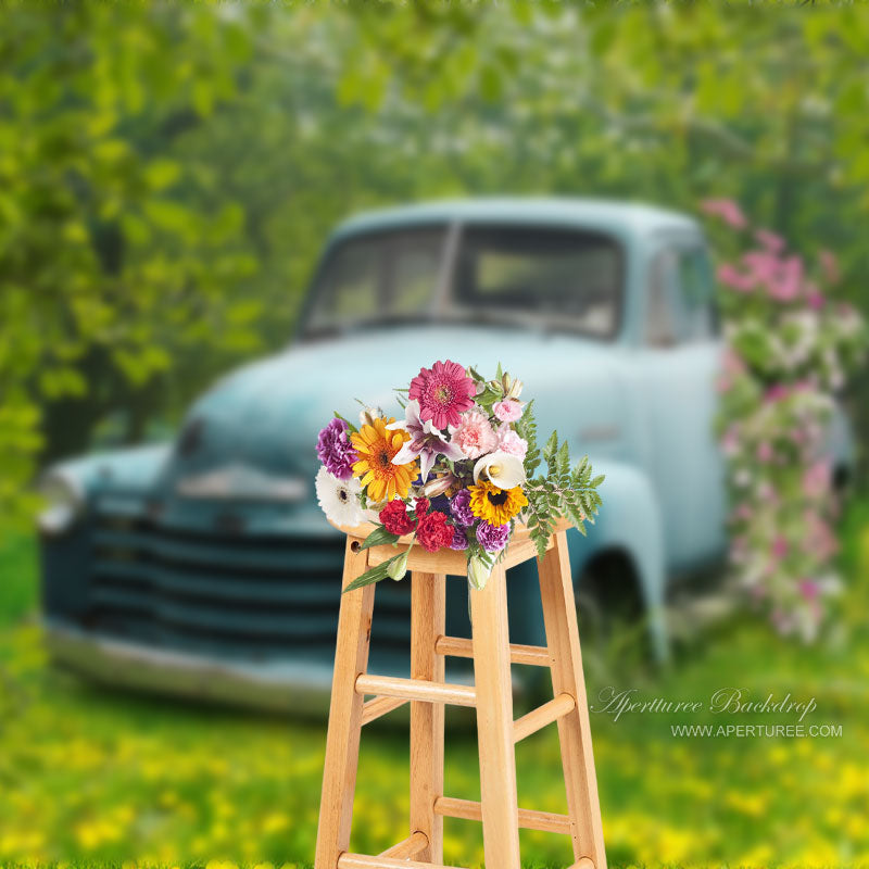 Aperturee - Blauer Auto Blumen Wald Frühlings Fotohintergrund