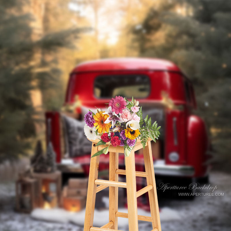 Aperturee - Weihnachten Outdoor Red Truck Geschenk Portrait Hintergrund