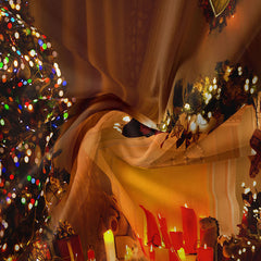 Aperturee - Weihnachtsbaum warmes Licht Kerzen Feiertags Hintergrund
