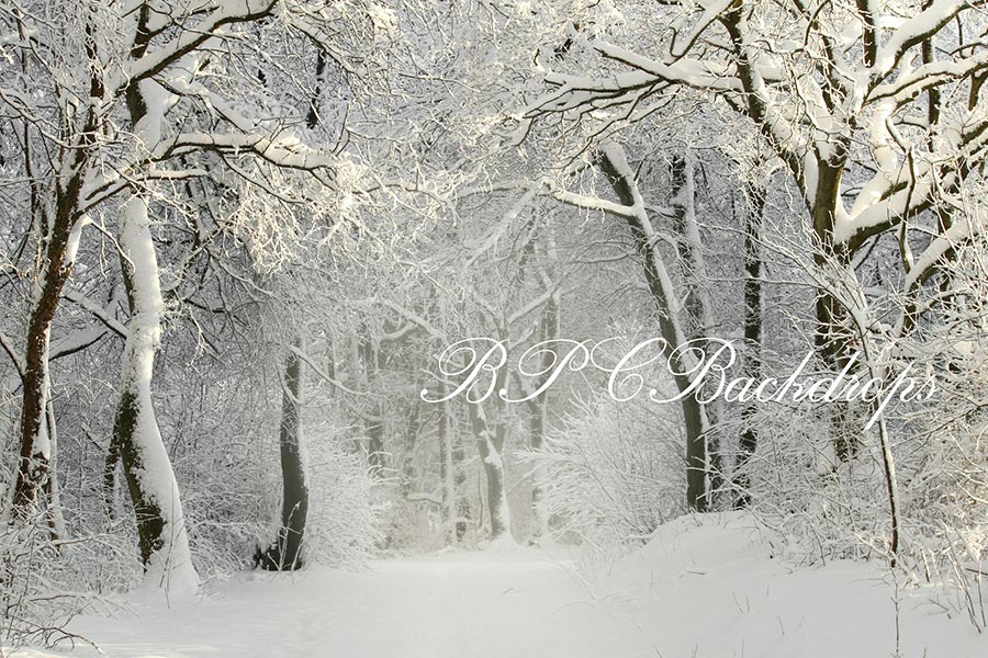 Aperturee – Fotografie Hintergrund für Weihnachten Winter Schnee verschneiter Wald