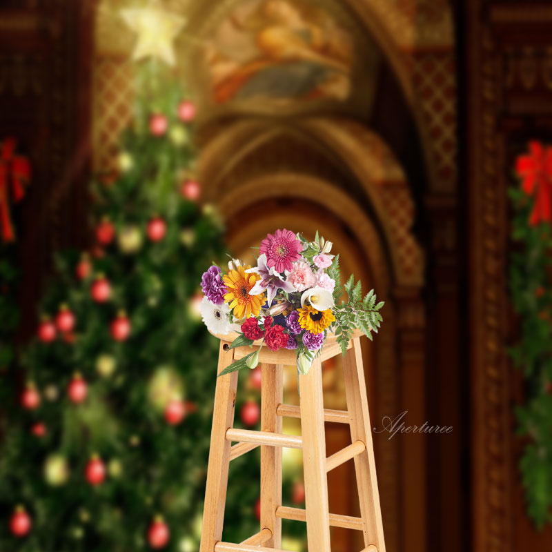 Aperturee - Freskenbogen Weihnachtsbaum Fotokabinen Hintergrund
