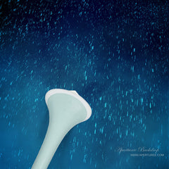 Aperturee - Fotohintergrund Spark Raindrops Blue Sky
