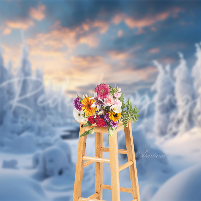 Aperturee - Winter verschneite Landschaft Weihnachten Fotohintergrund