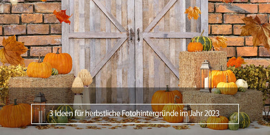 Holztür Kürbisahornblätter heller Herbsthintergrund - Aperturee Deutschland