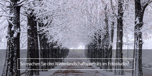 So machen Sie drei Winterlandschaftsporträts im Fotostudio？