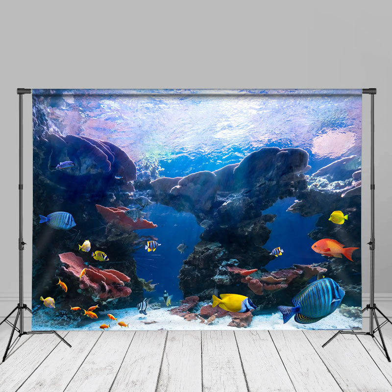 Aperturee - Wunderschöne farbige Sommerkulisse für Aquarienfische