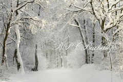 Aperturee – Fotografie Hintergrund für Weihnachten Winter Schnee verschneiter Wald