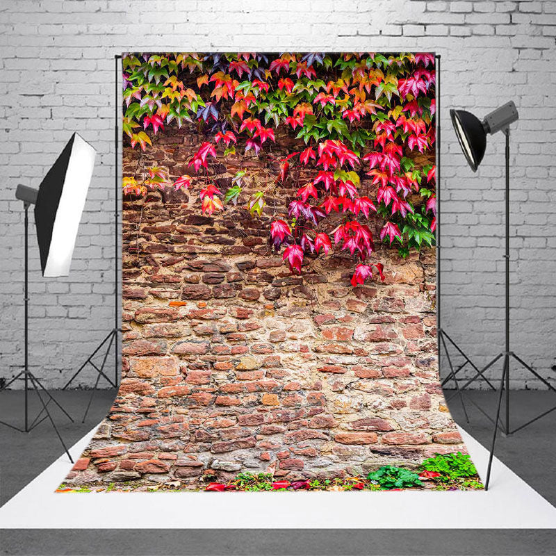 Aperturee - Rot grüne Blätter Vintage Backsteinmauer Fotohintergrund