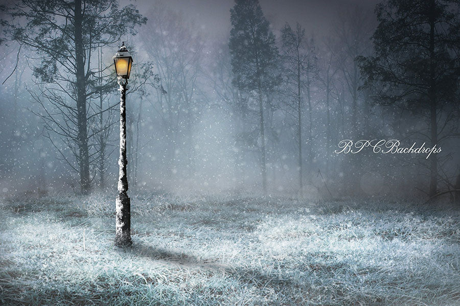 Aperturee – Heller Schneewald Winterwunderland Hintergrund für die Fotografie